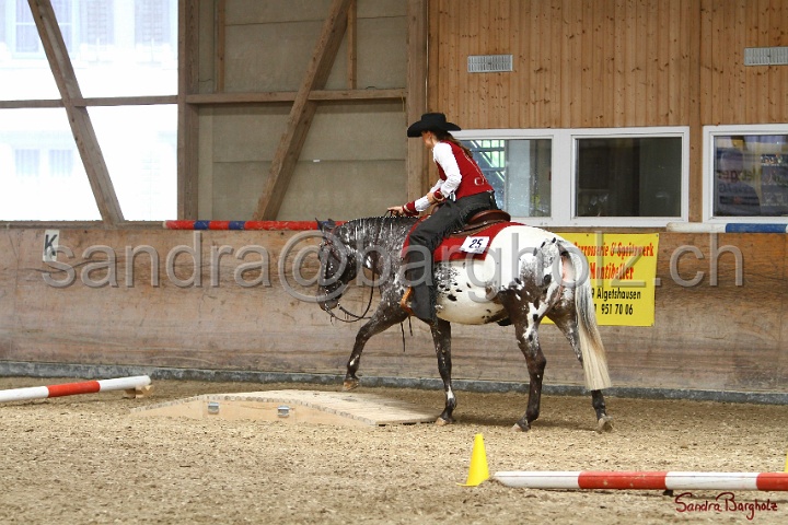 28-ApHC OT_280.jpg